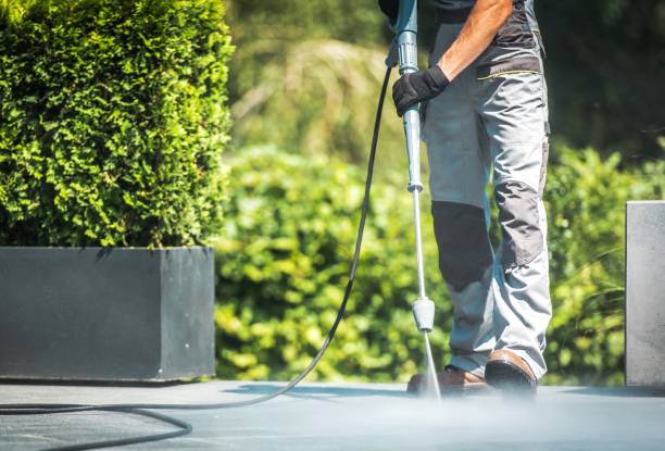 Pre-Holiday Cleaning in Farmland, IN