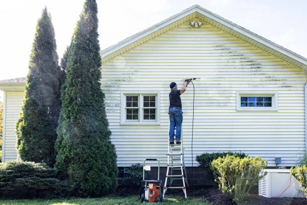 Best Patio and Deck Pressure Washing  in Farmland, IN