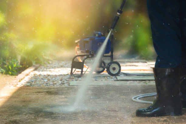 Best Animal Enclosure Cleaning  in Farmland, IN